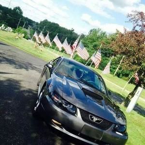 Meet your Posher, Sheila